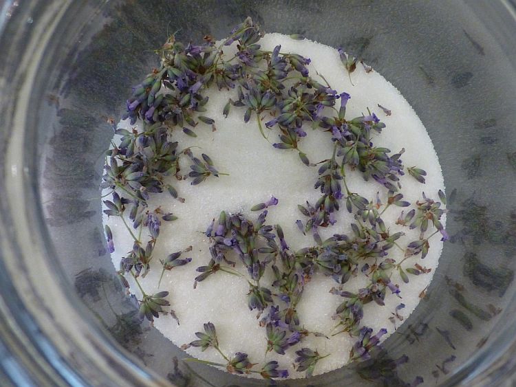 Lavendel-Zucker